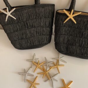 Barrette étoile de mer ⭐️